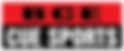 BCE CUE SPORTS